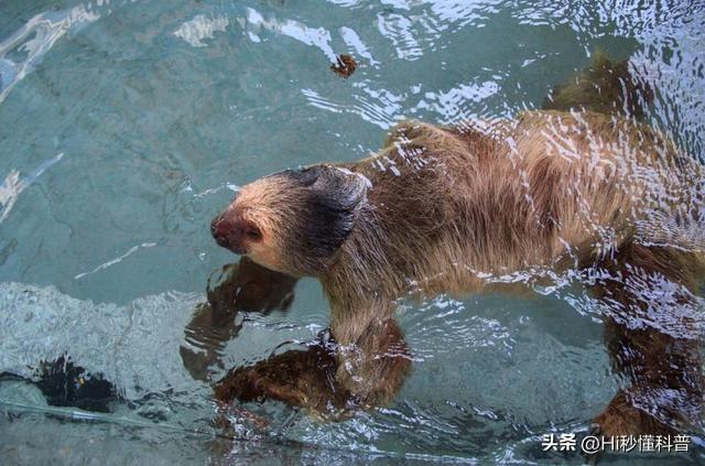 广东水库抓到水鬼图片